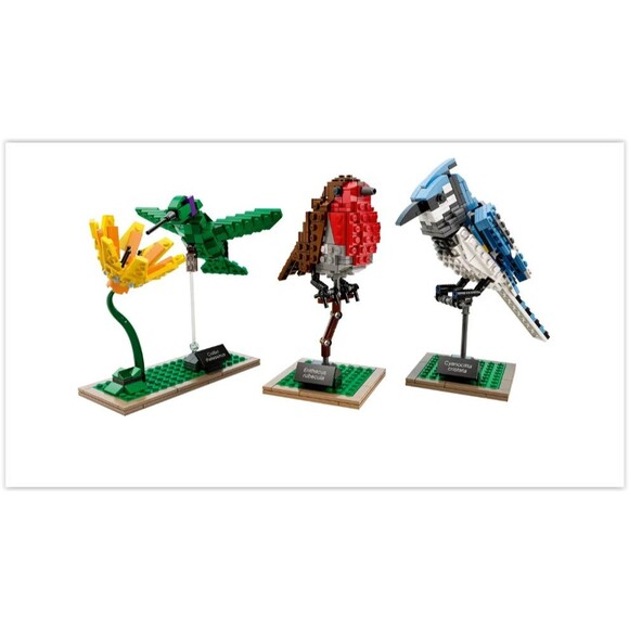 NISB LEGO Ideas 21301 - Birds - #009 Hummingbird Blue Jay Robin RETIRED - Picture 2 of 7